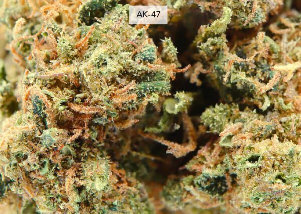 AK-47 19% CBD - Imagen 2
