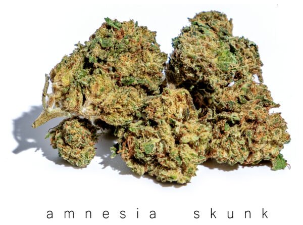 Amnesia Kush 22% CBD