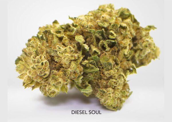 Diesel Soul 25% CBD
