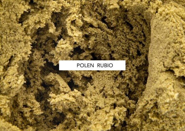 Polen rubio 42% CBD - Imagen 2
