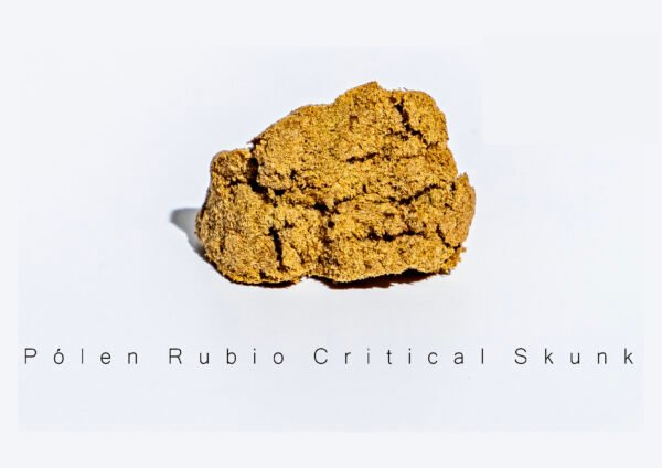 Polen Critical Skunk 38% CBD