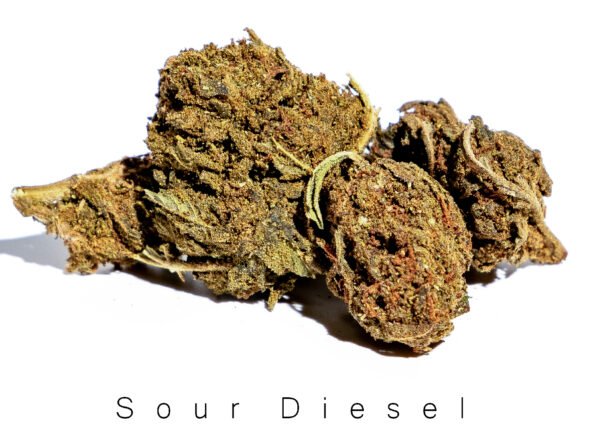 Sour Diesel 17% CBD