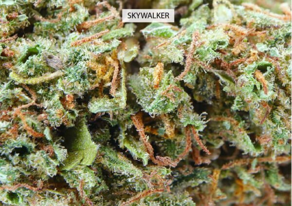 SKYWALKER 12% CBD - Imagen 2