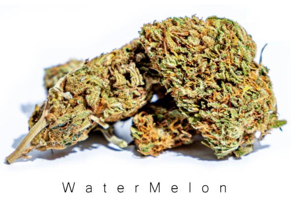 WATERMELON 29% CBD